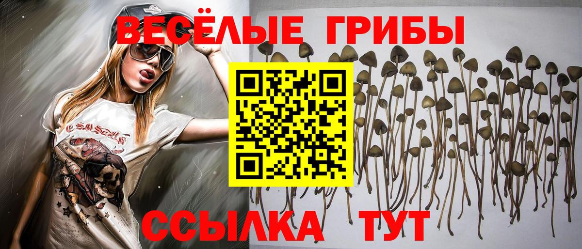 Галлюциногенные грибы ЛСД  Псилоцибиновые грибы прущие грибы  Вход с VPN  Бердск 